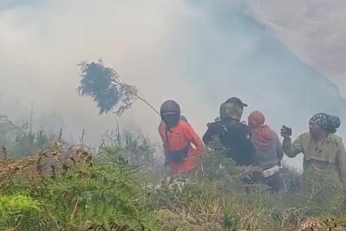Kebakaran terjadi di taman nasional bromo tengger semeru, membakar hutan hingga 10 hektare