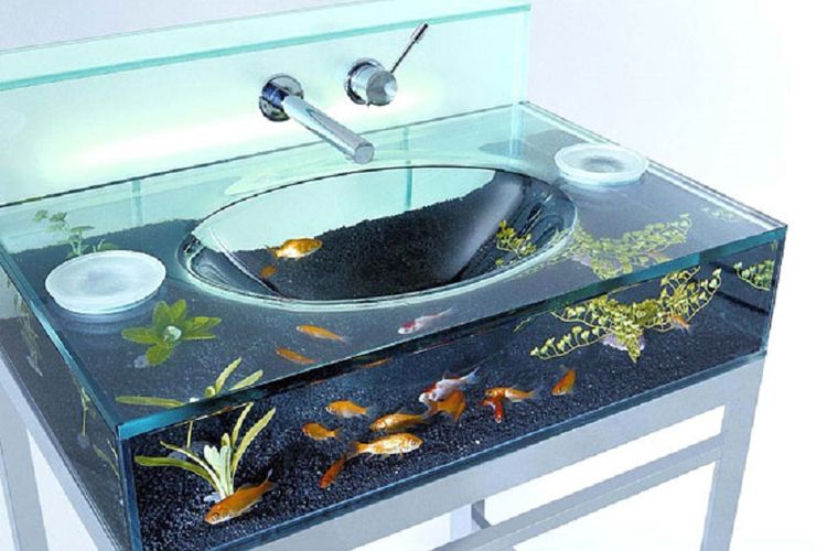 5400 Desain Aquarium Kamar HD