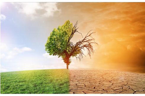 11 Dampak Pemanasan Global terhadap Lingkungan