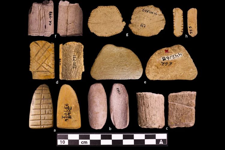 Bukan di Mesopotamia, Dadu Tertua di Dunia Ternyata Ditemukan di Amerika