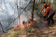 Kebakaran Hutan di TNBTS Memasuki Hari Ketiga, Pemadaman Terkendala Medan dan Sumber Air