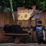 Dedi Mulyadi Turun Tangan Selamatkan Satwa Bandung Zoo, Kirim Pakan Mulai Besok