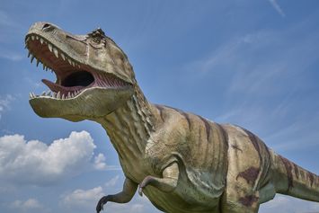 Patut Dicoba! Cara Seru Mengenalkan Dinosaurus Pada Anak
