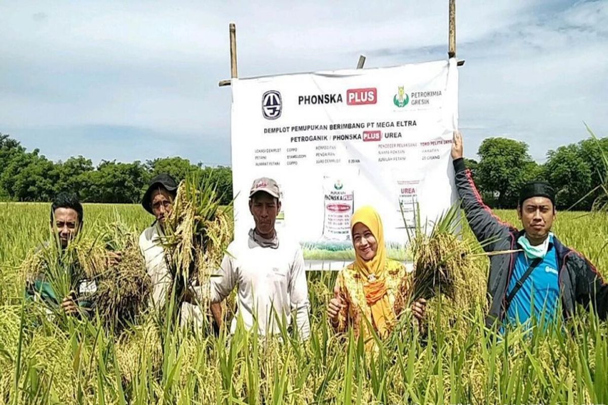 Dalam rangka pengembangan bisnis dan kontribusi untuk menyukseskan program Agrosolution, anggota holding PT Pupuk Indonesia (Persero), PT Mega Eltra, memperluas jaringan pemasaran produk pupuk nonsubsidi atau komersial.