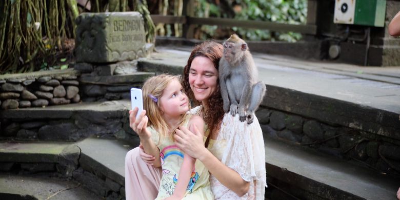 Monyet di Monkey Forest, Ubud, Gianyar, Bali, naik ke kepala wisatawan.