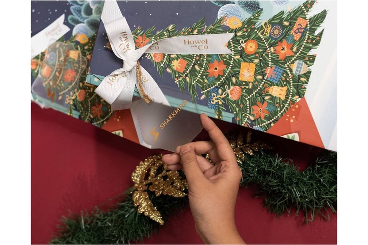 Bokep hadiah hari natal