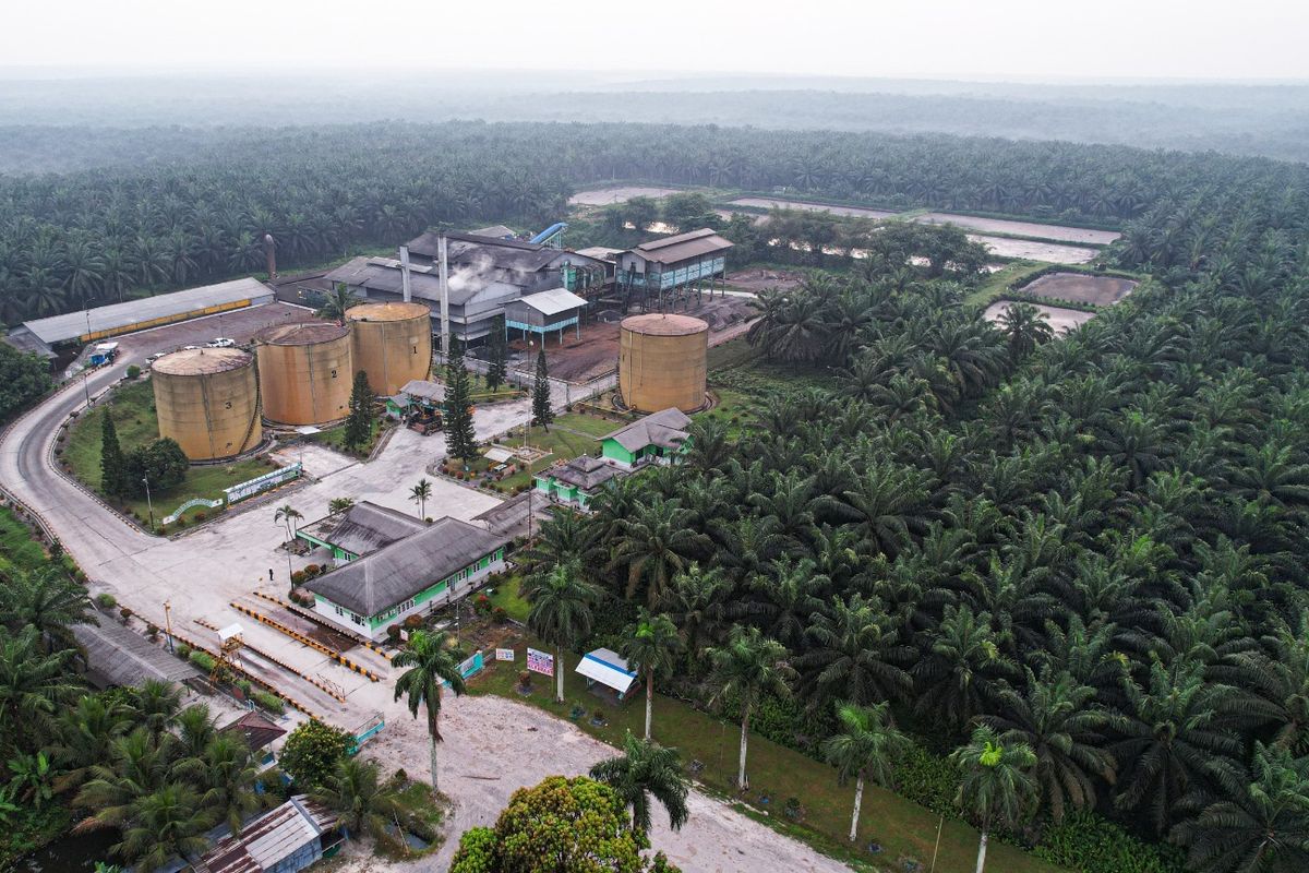 BWPT Catat Pendapatan Rp 1,38 Triliun di Kuartal I 2026, Ini Penopangnya