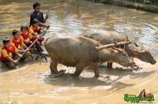 Cibalung Happy Land, Tawarkan Wahana Keluarga Lengkap di Cijeruk Jabar