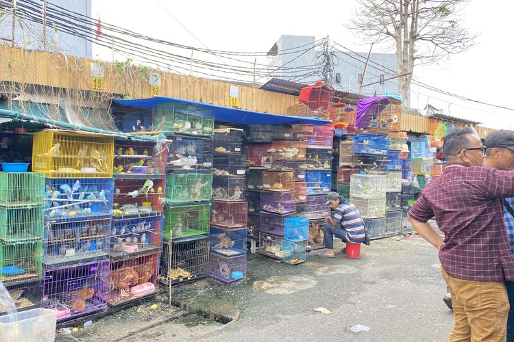 Tak Sekadar Tempat Jual Beli, Pasar Burung Jatinegara Jadi Ruang Sosial Pehobi Kicau Mania