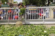 Protes Dipindahkan, Pedagang Lempari Petugas dengan Sayur-mayur