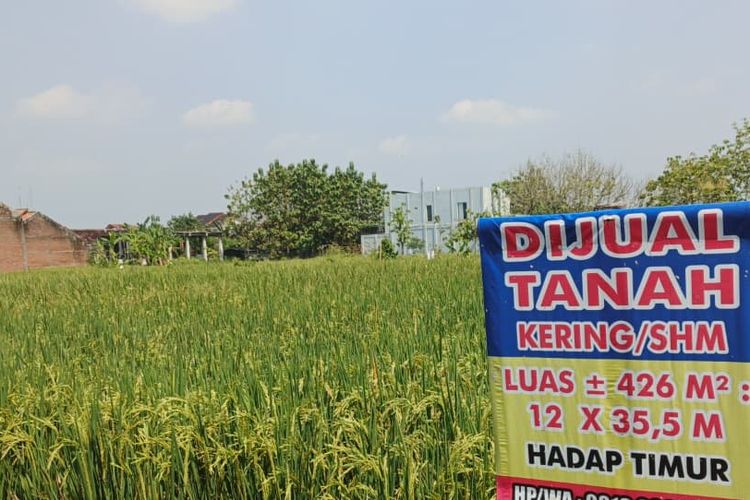 Biaya Cek Sertifikat Tanah di BPN Rp 50.000, Prosesnya Cuma Sehari