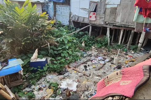 Pemkot Jakut Bakal Angkut Tumpukan Sampah di Kolong Rumah Panggung Warga Kapuk Muara