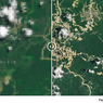 Viral Foto NASA soal Penyusutan Hutan di IKN, Ini Klarifikasi Otorita