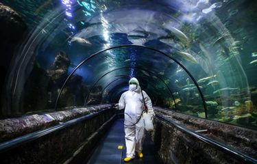 Petugas menyemprotkan cairan disinfektan di terowongan akuarium Sea World Ancol, Jakarta Utara, Sabtu (14/3/2020). Kegiatan ini untuk meminimalisir penyebaran penyakit akibat virus Covid-19 di Ancol. Pemerintah DKI Jakarta menutup semua tempat wisata di Jakarta mulai Sabtu (14/3/2020). Penutupan ini dilakukan selama dua pekan ke depan dalam rangka pencegahan penyebaran virus corona.
