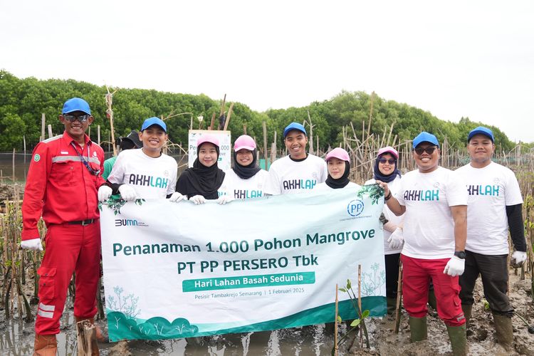 PTPP berkontribusi menanam 1.000 mangrove di pesisir Tambakrejo, Semarang, Sabtu (1/2/2025).