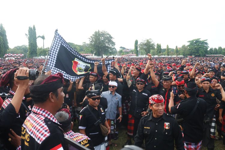 Setelah Deklarasi Tolak Ormas Preman, Pecalang di Bali Sepakat Satu Komando