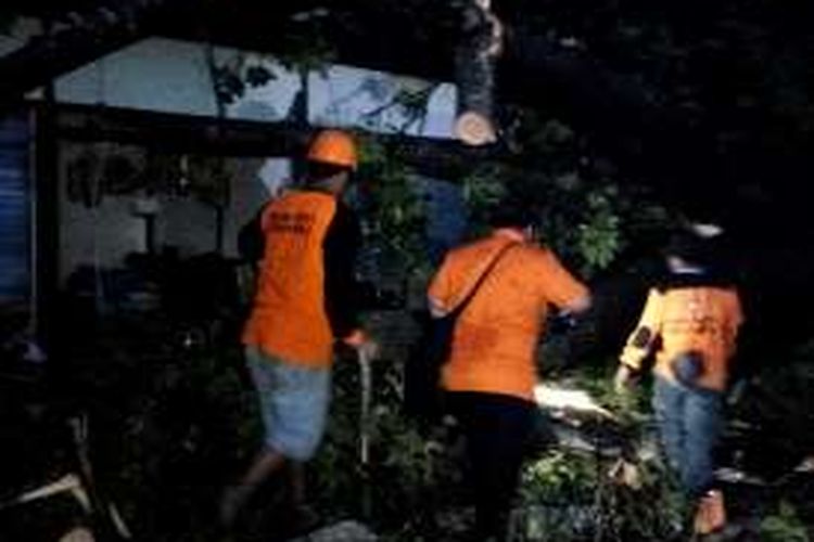 Para relawan dan SAR saat memotong pohon tumbang di area oleh-oleh kompleks kebun Binatang Gembira loka