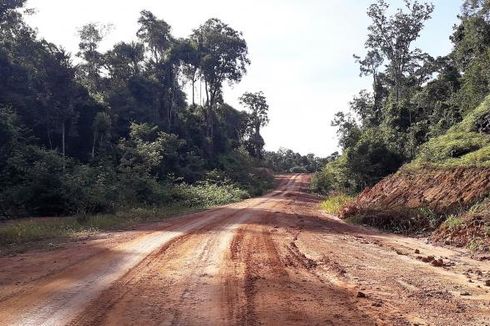 Bangun Infrastruktur di Papua Tak Cukup 5 Tahun 