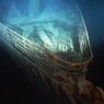 Ekspedisi Titanic Dimulai 2021, Biaya Keikutsertaan Rp 1,7 Miliar