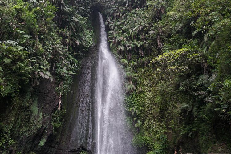 Curug Ciismun di Kebun Raya Cibodas, Jawa Barat