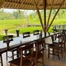 Restoran Tepi Sawah di Yogyakarta, Bersantap Sambil Nikmati Suasana Desa