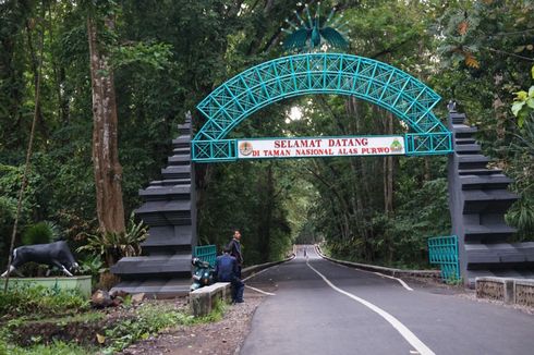 Inilah TN Alaspurwo, Salah Satu Situs Geopark Nasional di Banyuwangi