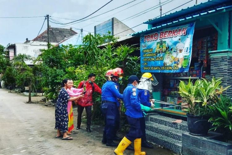 Petugas dari Damkar Lamongan saat melakukan evakuasi ular koros sepanjang 1,5 meter, yang masuk ke dalam toko milik Ambar, Selasa (11/1/2022).