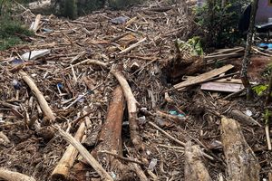 Kemenhut Bersihkan 1.272 Meter Gelondongan Kayu Pasca Banjir Sumatera