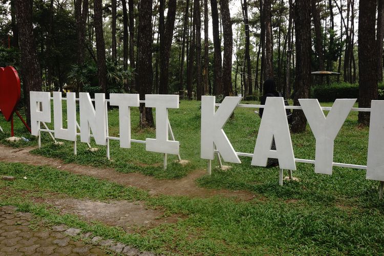 Ilustrasi hutan wisata Punti Kayu di Palembang, Sumatera Selatan.