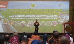 Nilai Ekspor Pertanian Indonesia 300 Miliar Dollar AS 