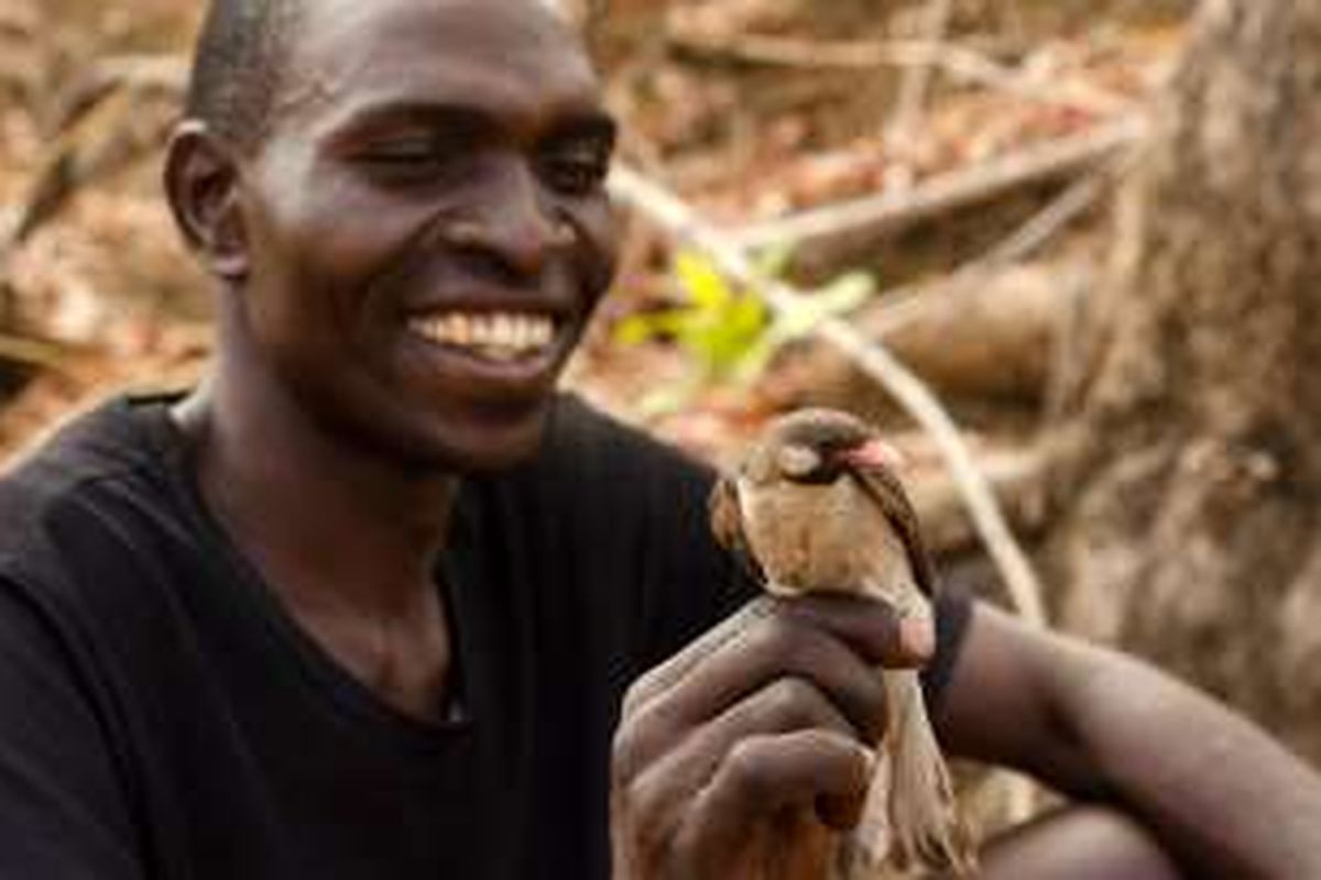 Relasi pemburu madu di Mozambik dan burung honeyguide menjadi bukti pertama kemampuan hewan liar berkomunikasi dengan manusia.