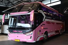 Bus Baru PO Rimba Raya, Tampil Genit Pakai Warna Pink
