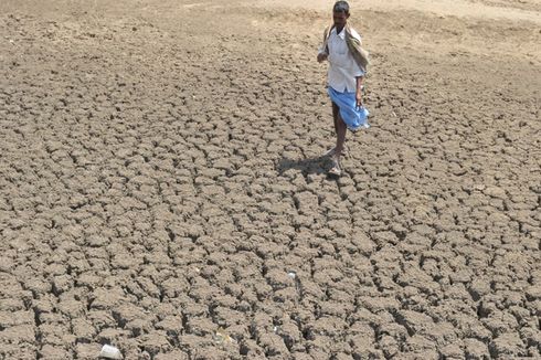 Miris, 60.000 Petani di India Bunuh Diri karena Perubahan Iklim