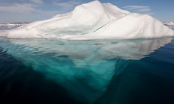 Laut Arktik Makin Berisik Akibat Perubahan Iklim, Satwa Bisa Terganggu