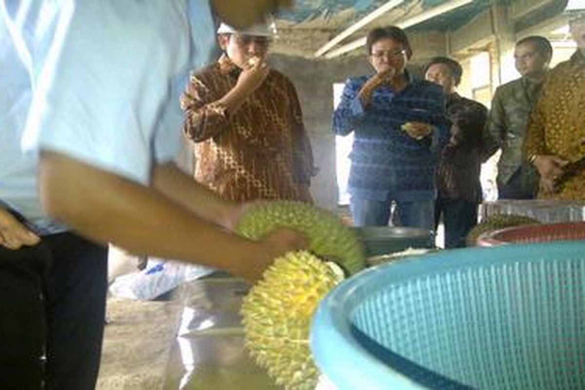 Ketua Umum DPP Partai Demokrat Anas Urbaningrum menikmati suguhan durian Lampung di gedung kantor DPD Partai Demokrat Wilayah Lampung yang tengah dibangun, Jumat (17/2/2012)