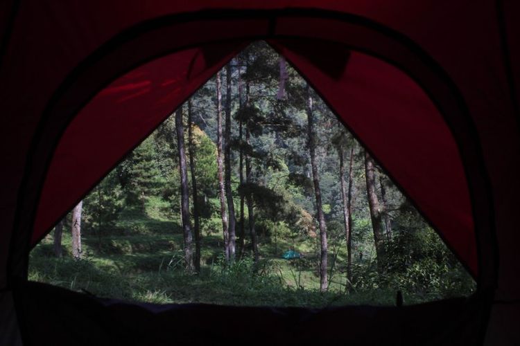 Tenda berkemah di Bumi Perkemahan Dlundung