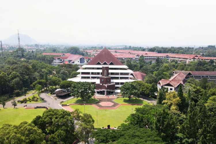 IPB University