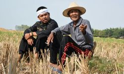 Demi Petani, 46.000 Hektar Sawah di Purwakarta Diasuransikan