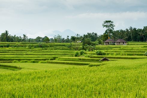 Pengertian Dataran Rendah, Ciri-Ciri, serta Manfaatnya yang Perlu Kamu Tahu