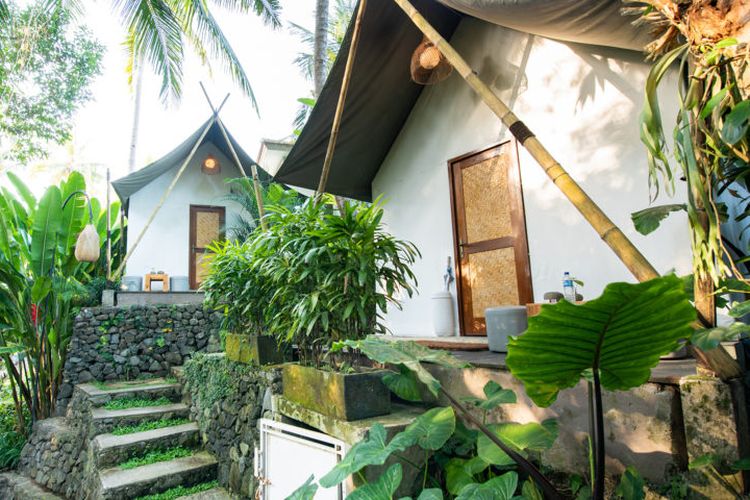 Tempat glamping bernama Ubud Tropical di Bali.