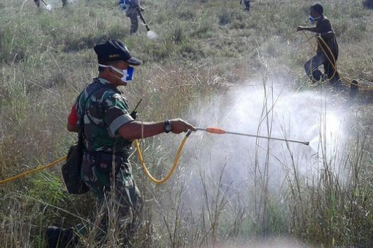 Anggota TNI AD dari Komando Distrik Militer 1601/Sumba Timur, Nusa Tenggara Timur (NTT), sedang melakukan penyemprotan terhadap hama belalang yang menyerang wilayah itu