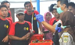 Kabar Baik, Ekspor Manggis RI ke China Naik 111 Persen di Masa Pandemi Covid-19