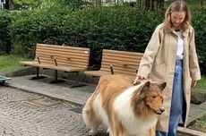 Habiskan Rp 213 Juta demi "Jadi Anjing", Pria Jepang Ini Malah Dijauhi Anjing Aslinya