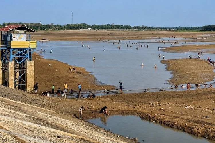Viral Warga Ramai-ramai Berburu Ikan di Waduk Cipancuh Indramayu yang Surut