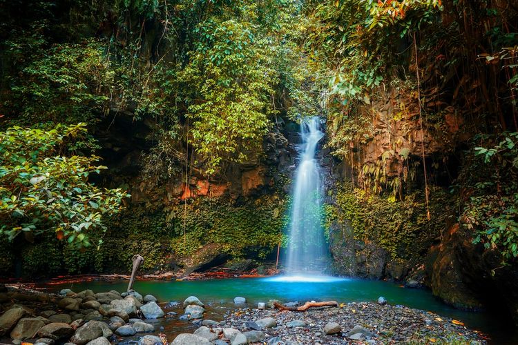 Air Terjun Kalibendo, Banyuwangi, Jawa Timur DOK. Shutterstock/Kholifur Rohman