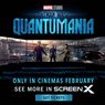 Pengalaman Nonton Ant-Man and The Wasp: Quantumania di ScreenX CGV, Lebih Terasa Aksinya