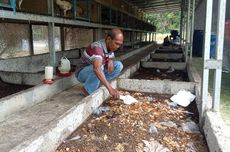 Bank Dunia Soroti Besarnya Bunga Utang Indonesia, Serap Pendapatan Negara