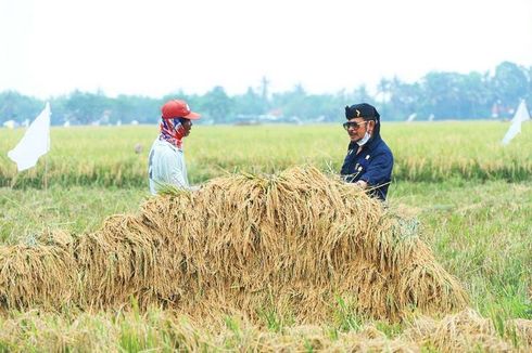 Alsintan Dorong Modernitas Pertanian Sumatera Barat