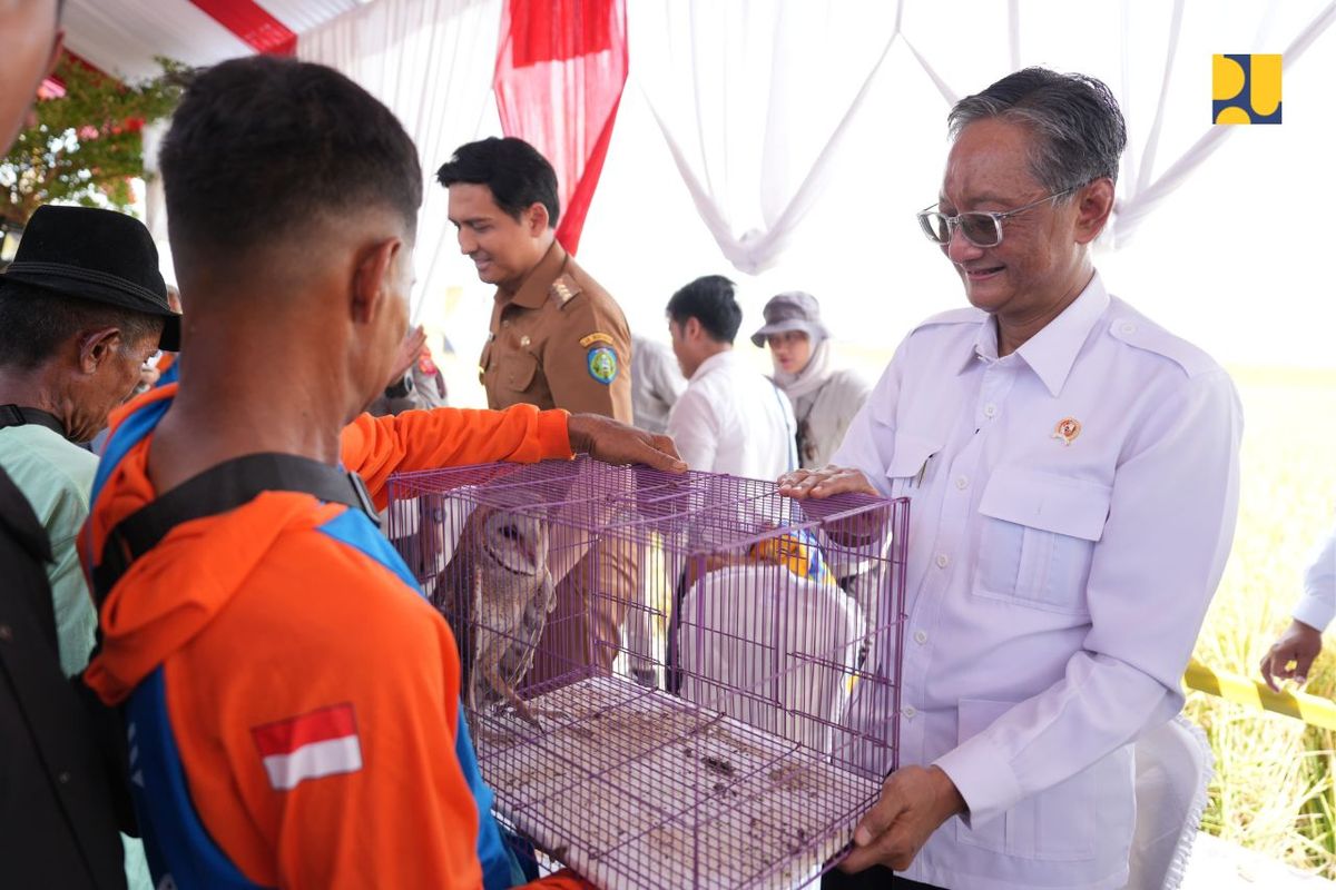 Menteri Pekerjaan Umum (PU) Dody Hanggodo menyerahkan 12 ekor burung hantu kepada petani di Kecamatan Cikedung, Kabupaten Indramayu, Selasa (22/4/2025). 
