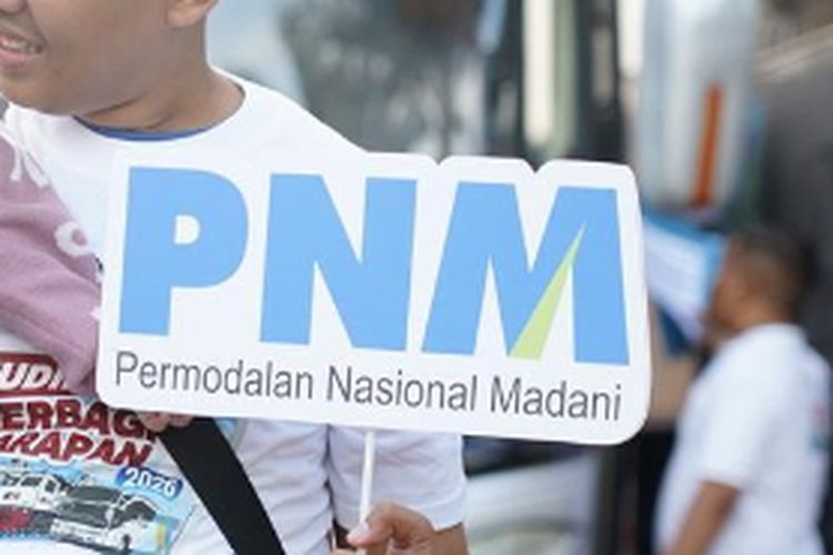 Tak Perlu Tarik PNM ke Kemenkeu, Pemerintah Diminta Fokus Benahi Ekosistem Pembiayaan UMKM